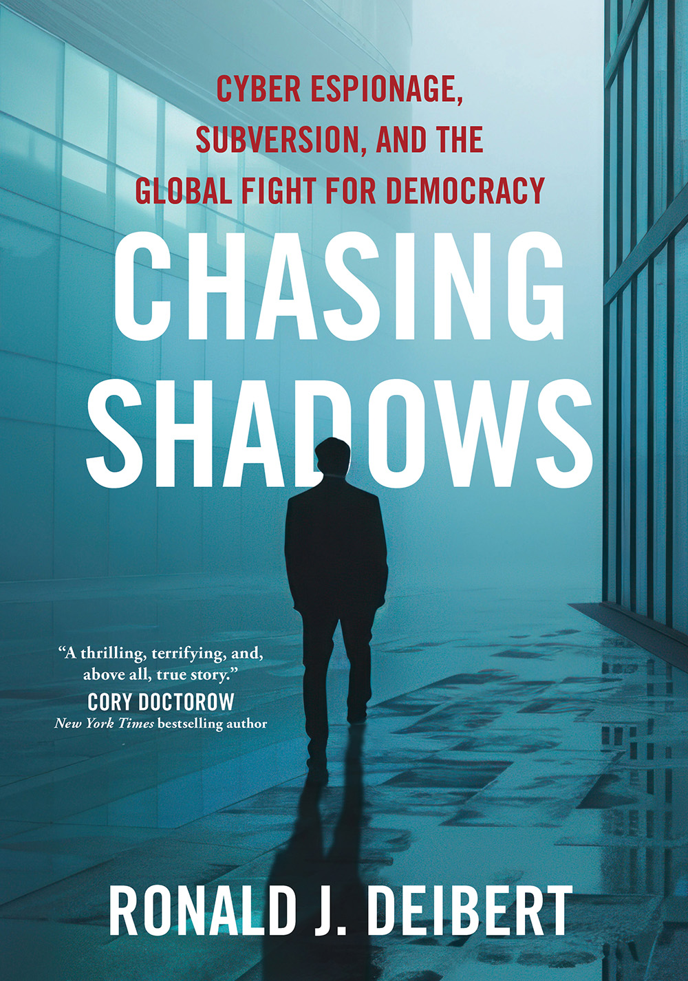 Cover of the book Chasing Shadows